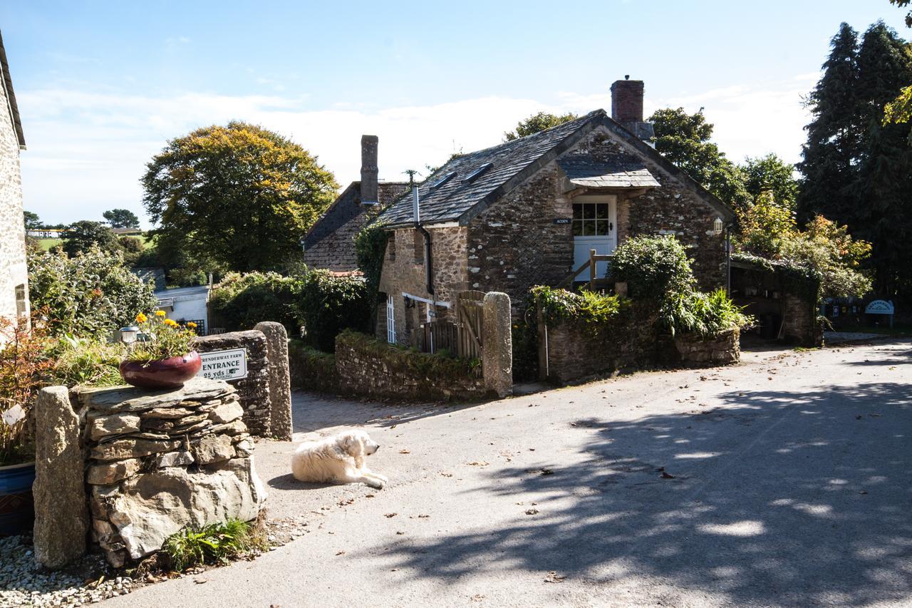 Trenderway Farm Bed & Breakfast Looe Dış mekan fotoğraf