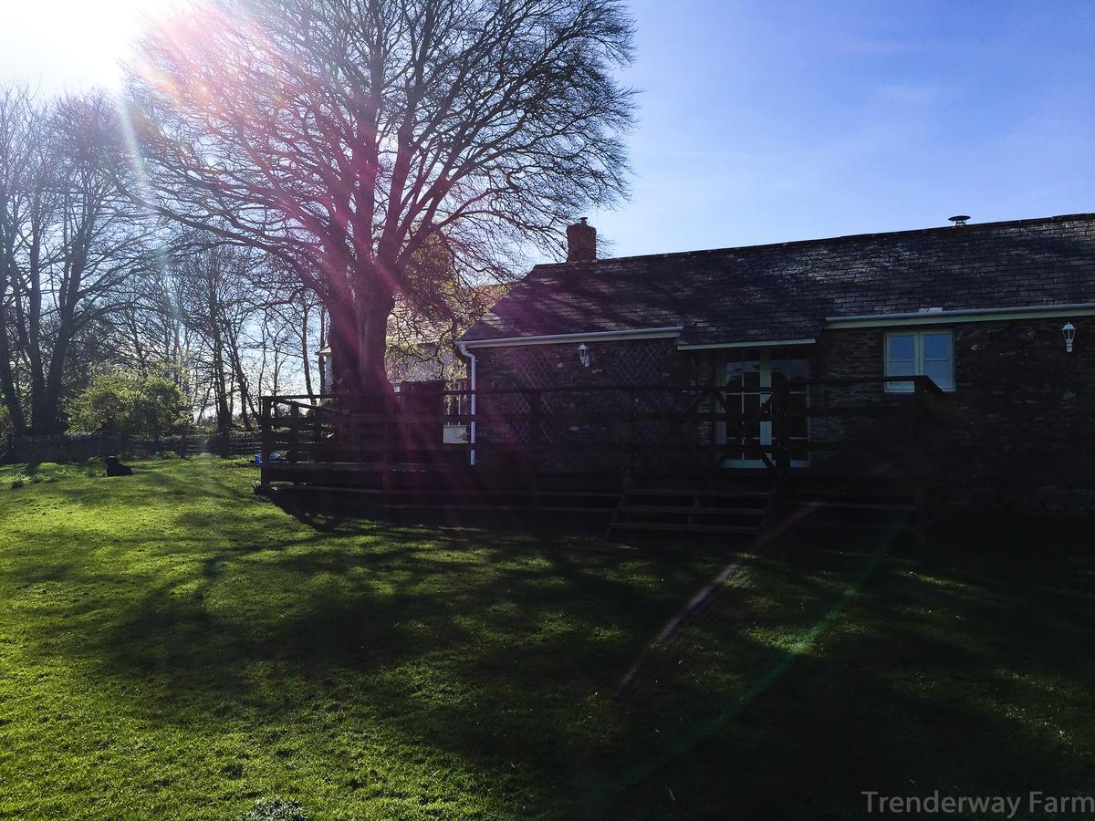 Trenderway Farm Bed & Breakfast Looe Dış mekan fotoğraf