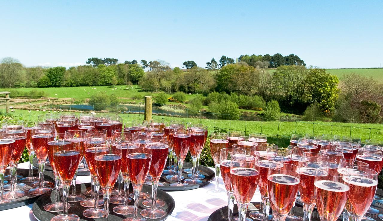 Trenderway Farm Bed & Breakfast Looe Dış mekan fotoğraf