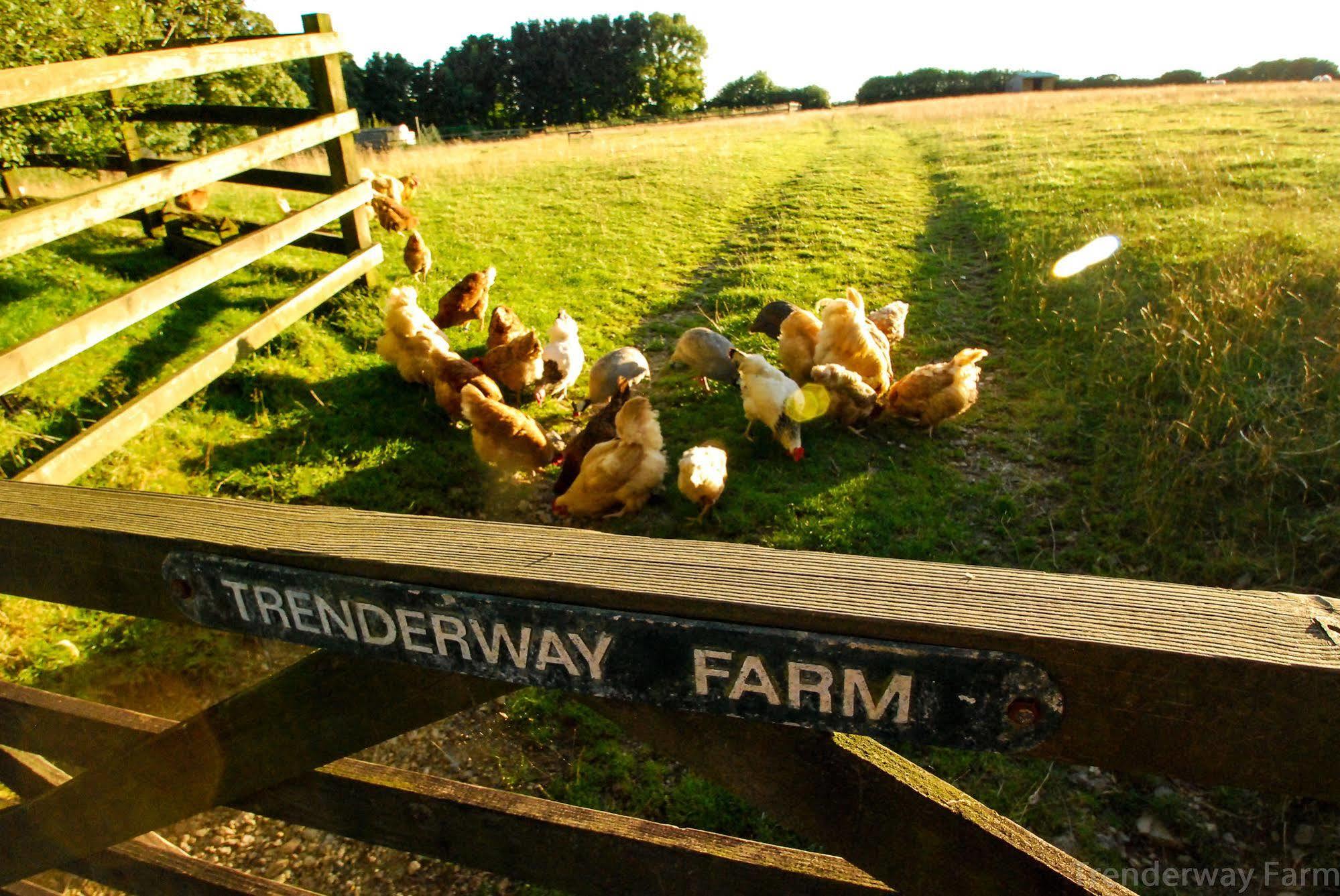 Trenderway Farm Bed & Breakfast Looe Dış mekan fotoğraf