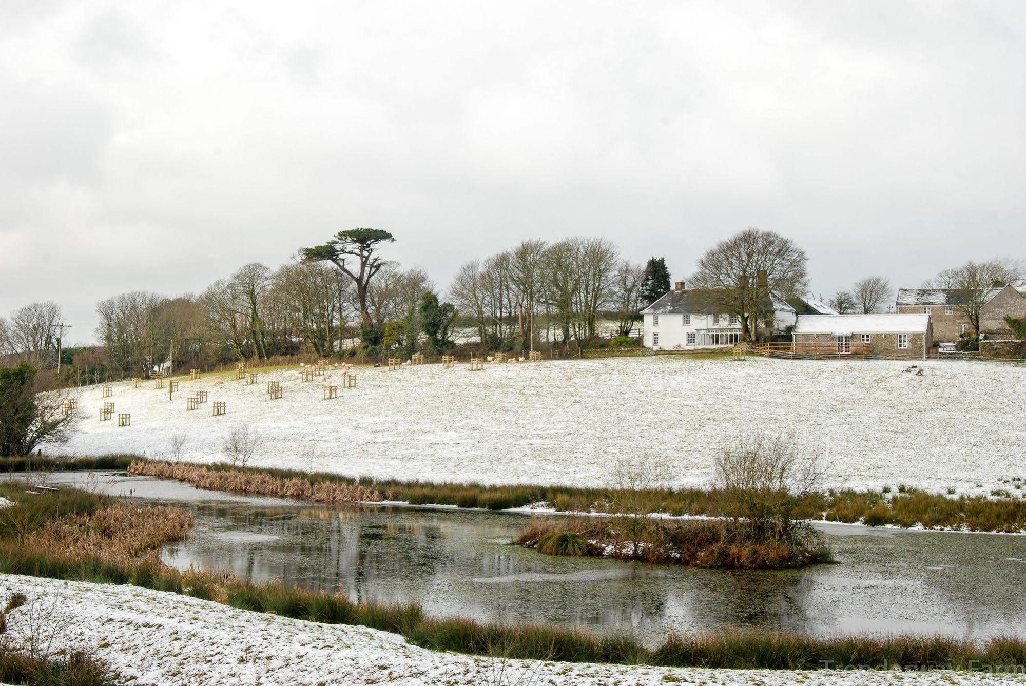 Trenderway Farm Bed & Breakfast Looe Dış mekan fotoğraf